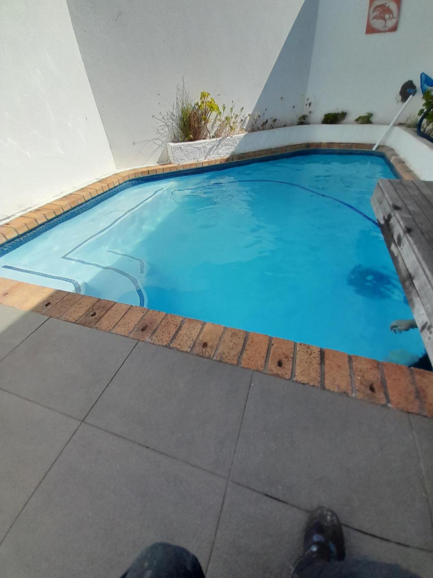 20Ab Belladonna Apartments Vredehoek Cape Town Eksteriør bilde